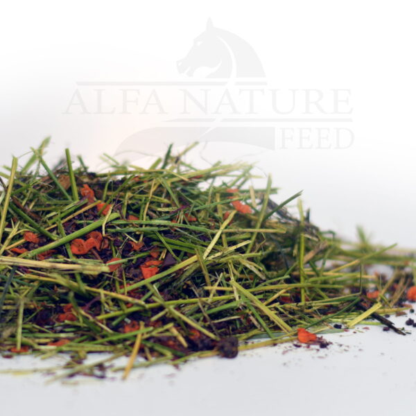 Sieczka ALFALFA FRUIT 10kg