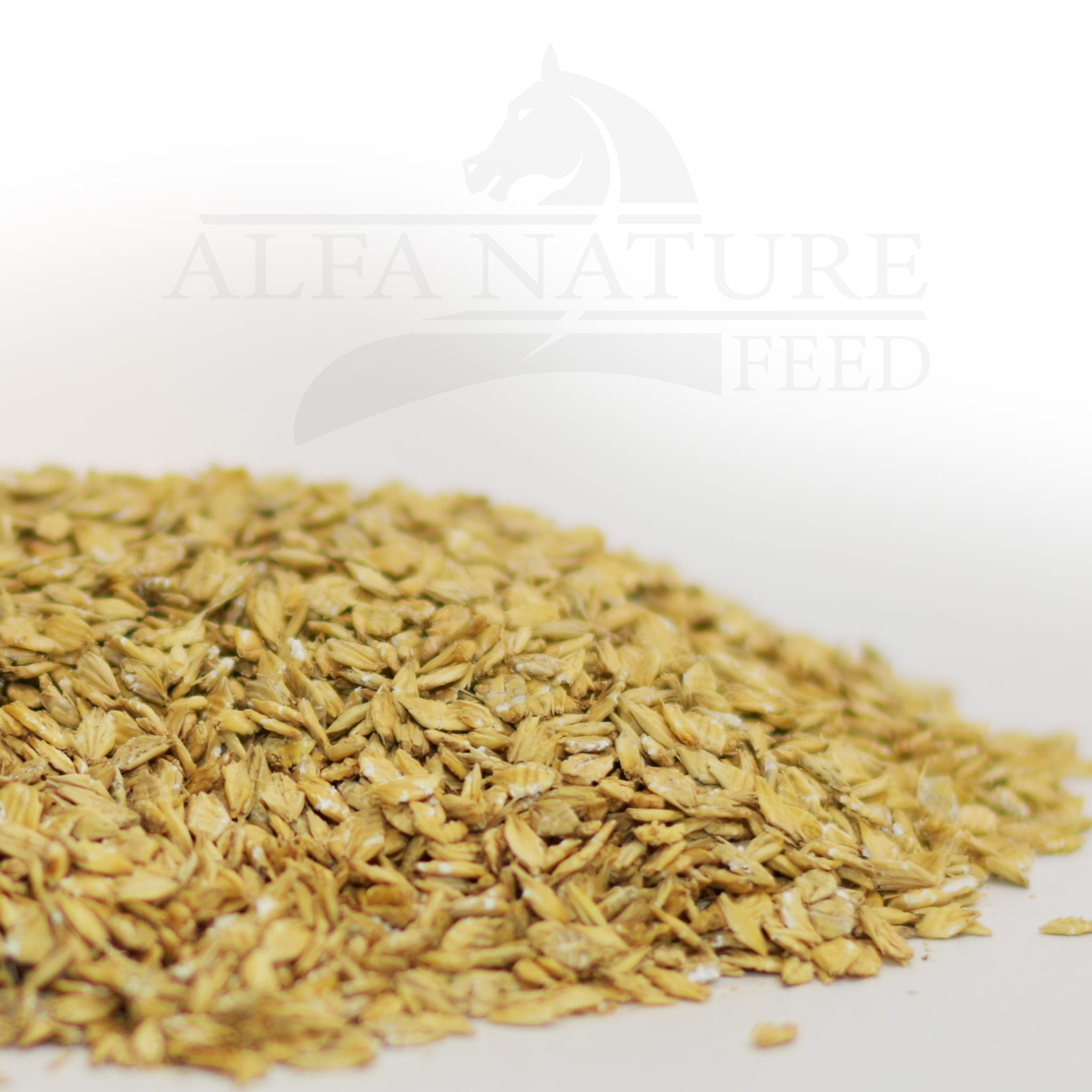 Płatki Jęczmienne mikronizowane 10kg