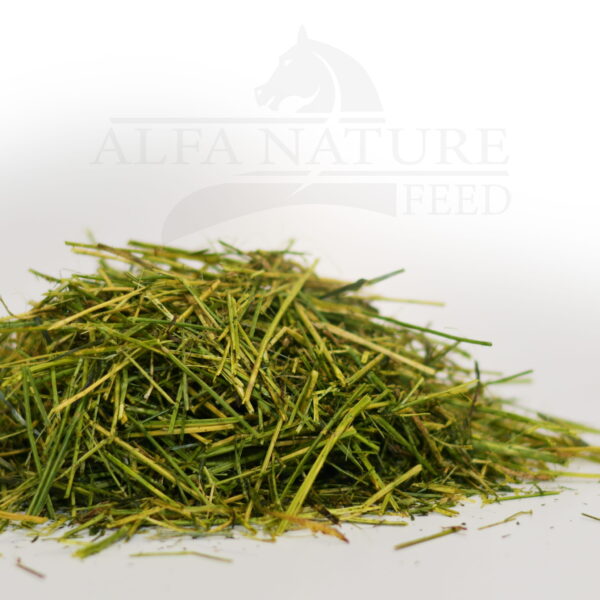 Sieczka ALFALFA OILED 10kg