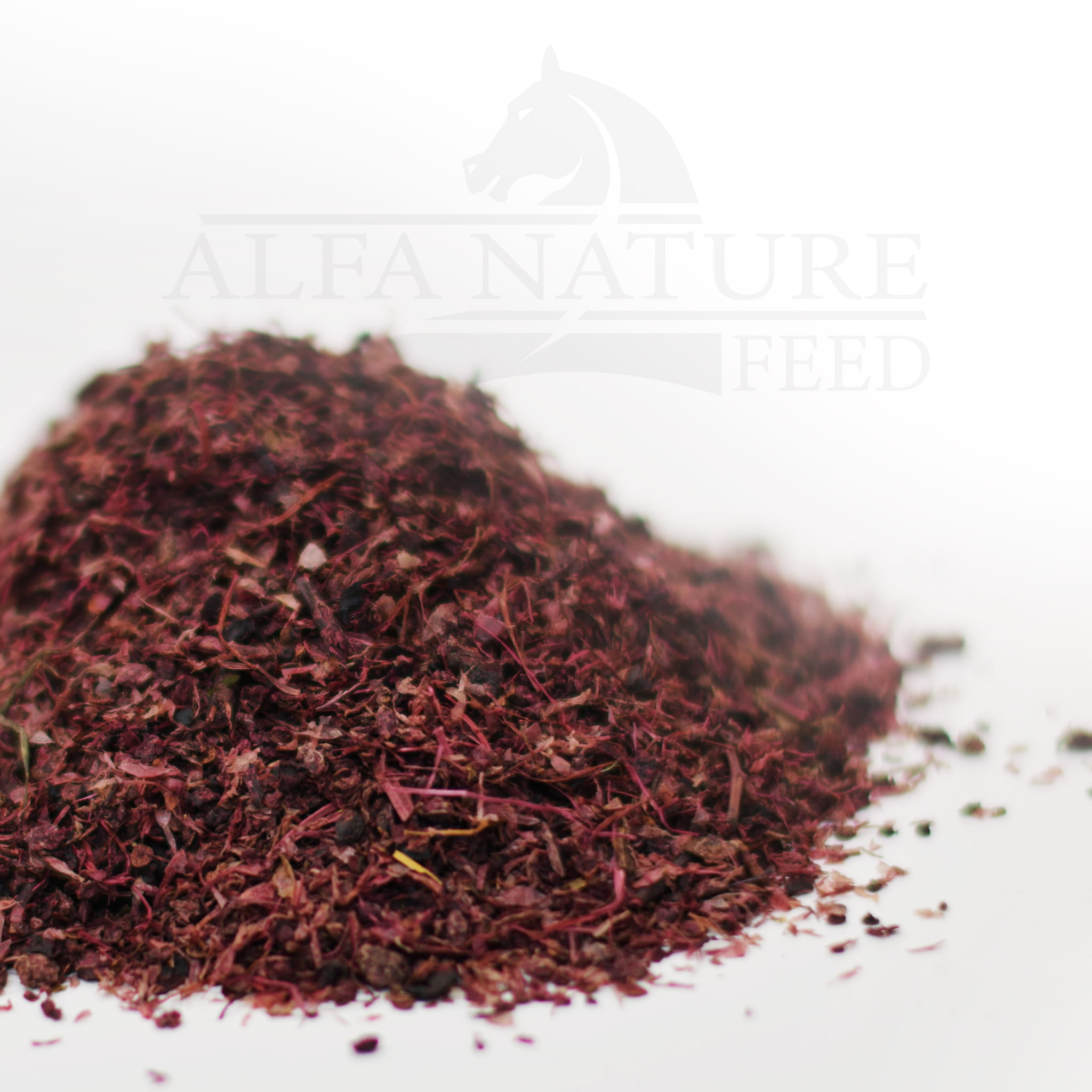 Porzeczka suszona 10kg