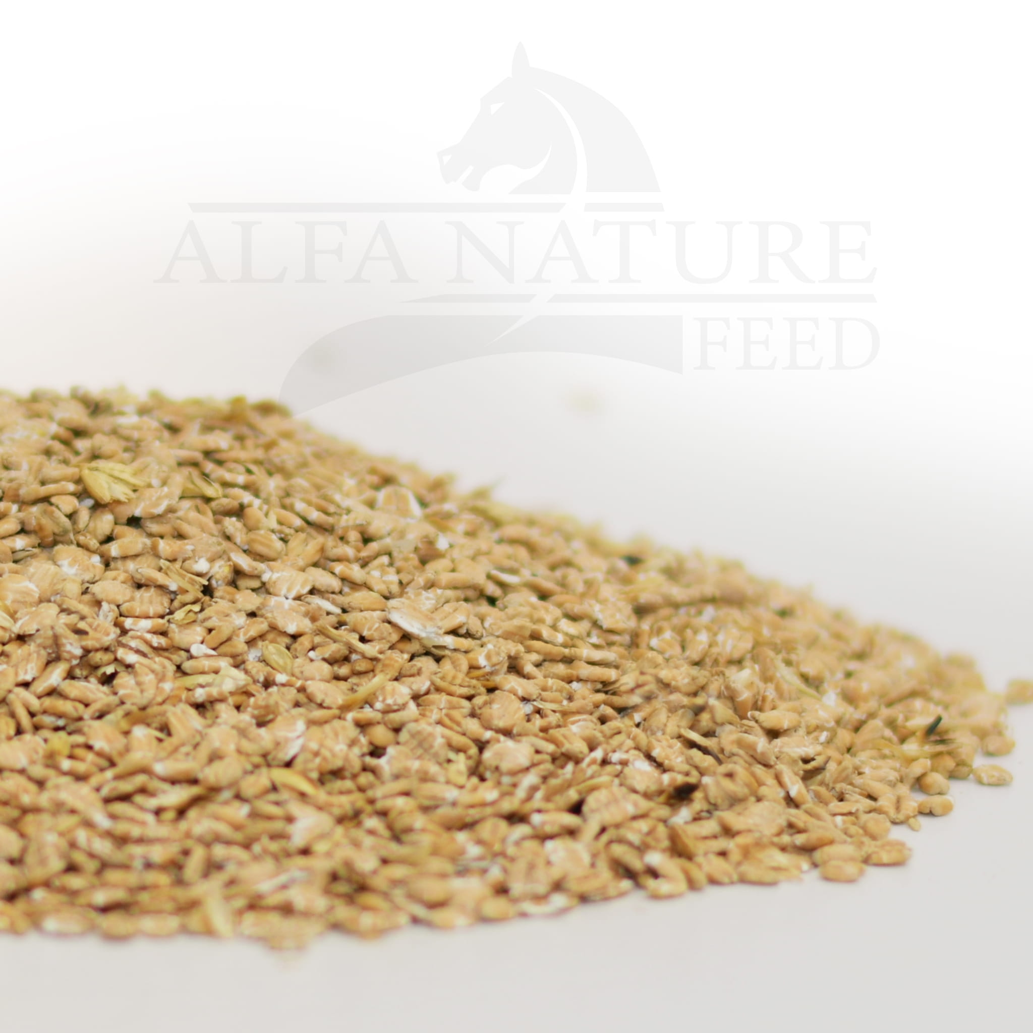 Płatki Pszenne mikronizowane 10kg